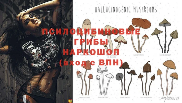 бутират Алексеевка